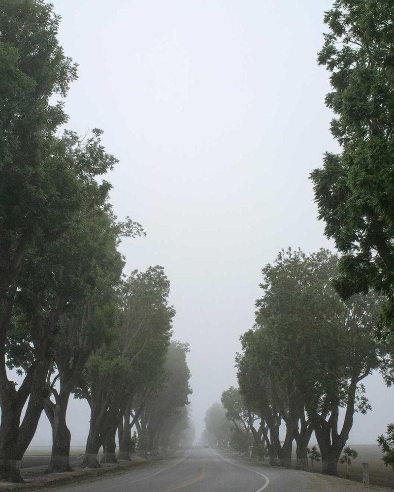 Baroque Vintage Barrette