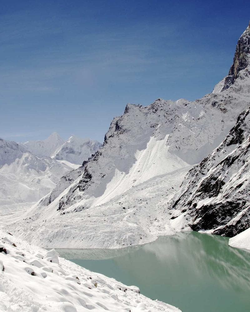 Rose Velvet Scrunchie Set — image 1